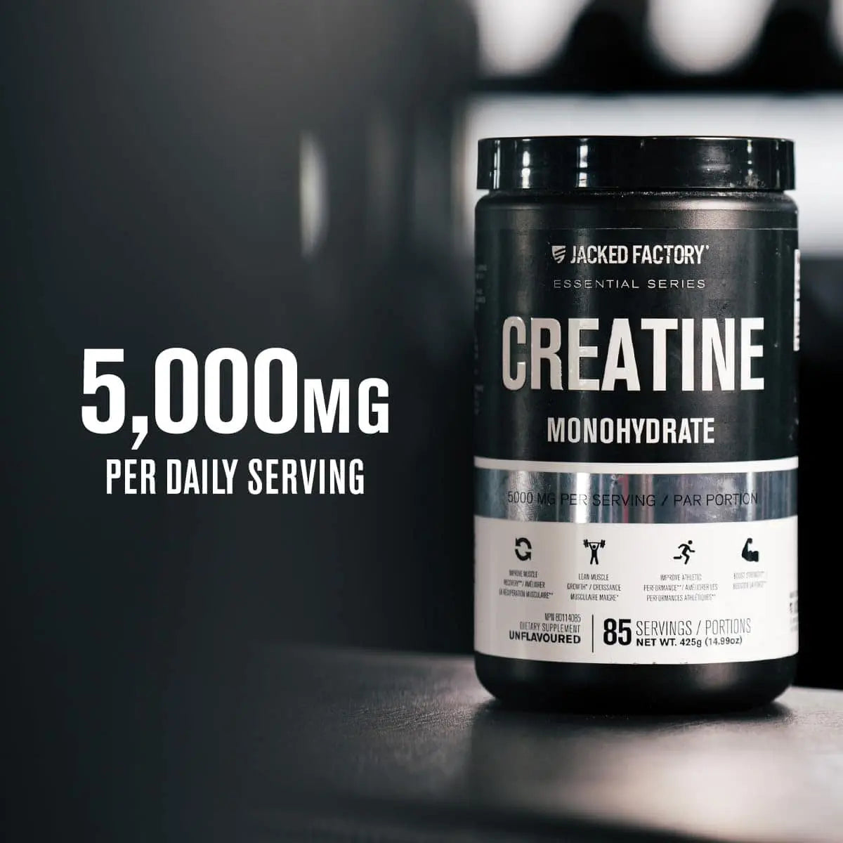 Jacked Factory Creatine Monohydrate – 85 Servings of Pure Power & Strength