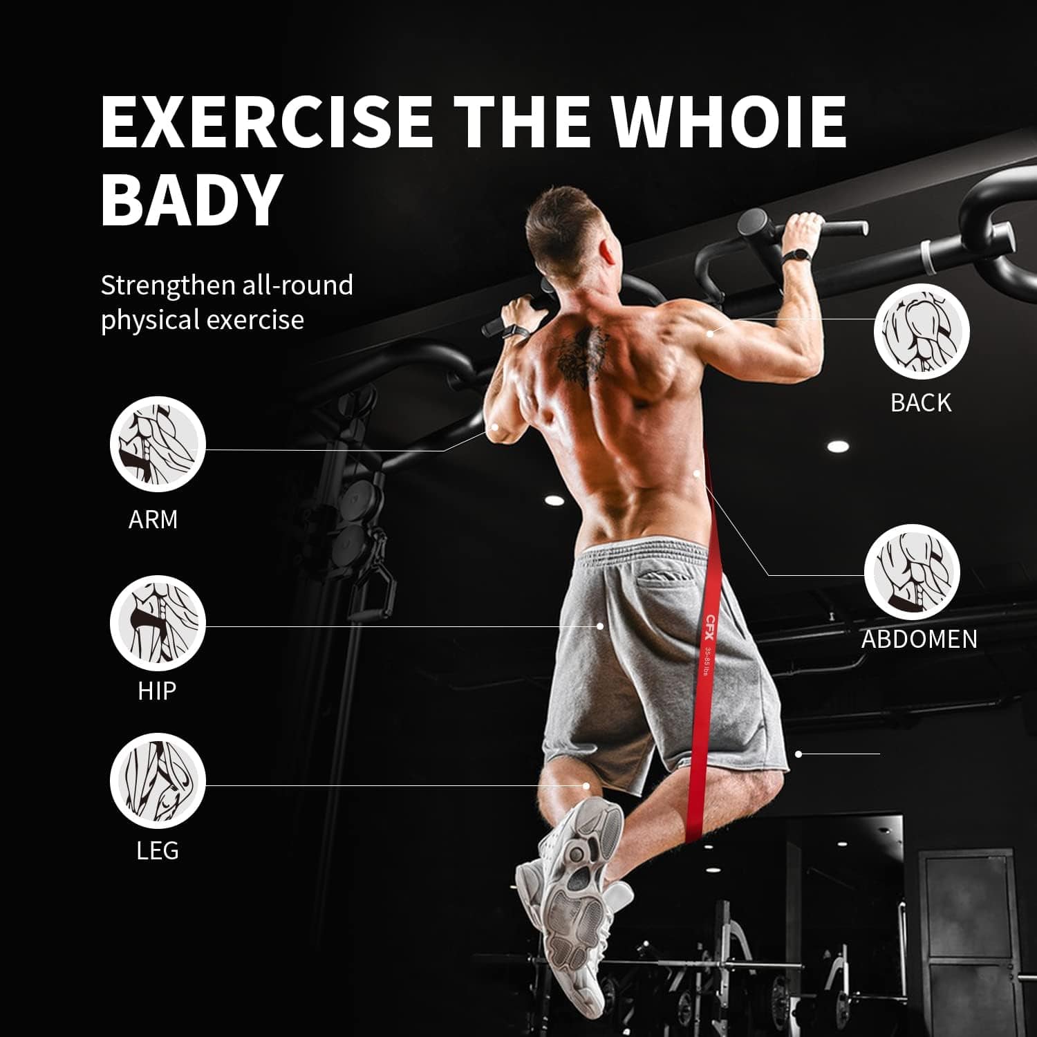 CFX Resistance Bands – 5-Level Exercise Bands for Strength, Pull-Up Assistance & Rehab FitCore Supply