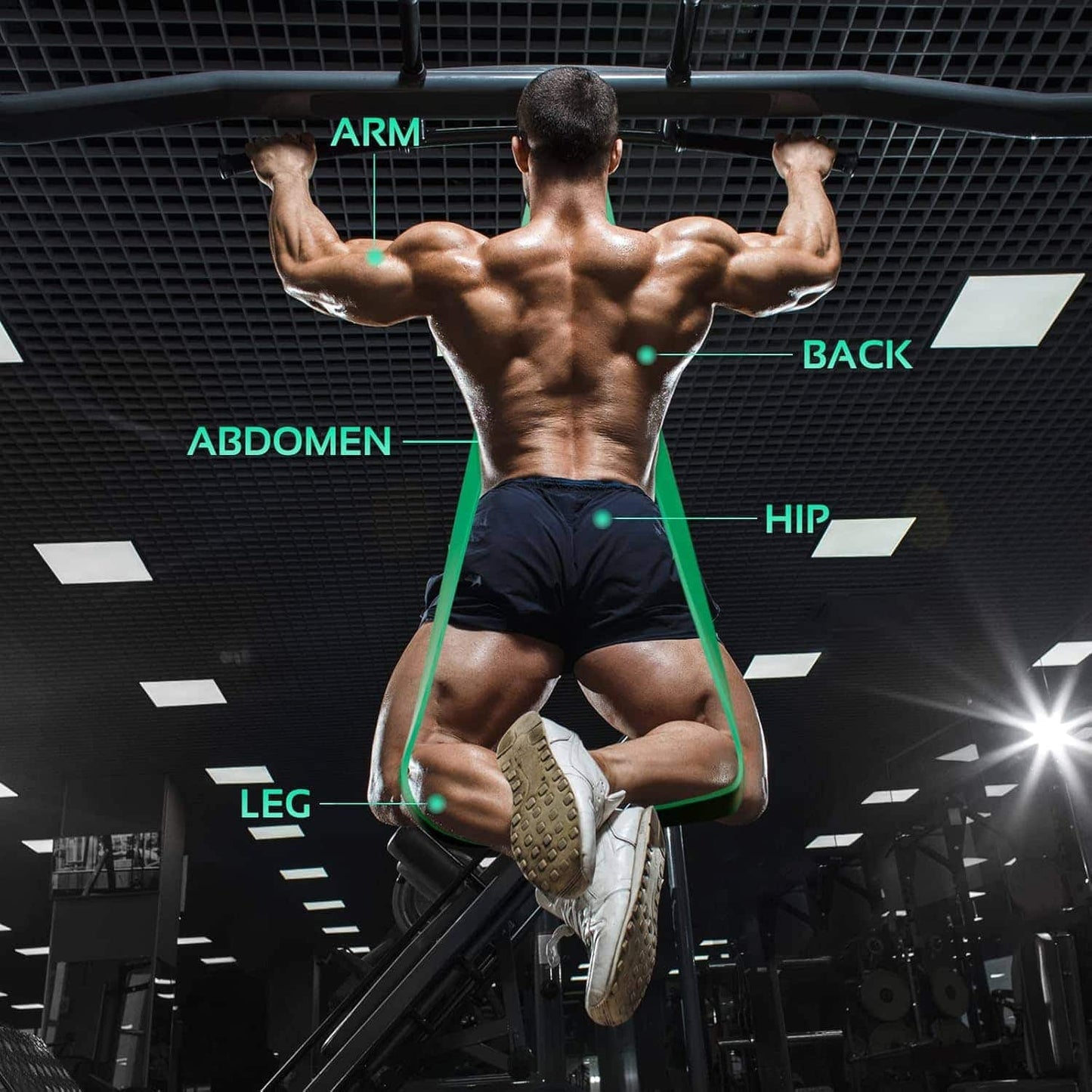 Muscular man in a gym with labeled body parts on a dark ceiling.