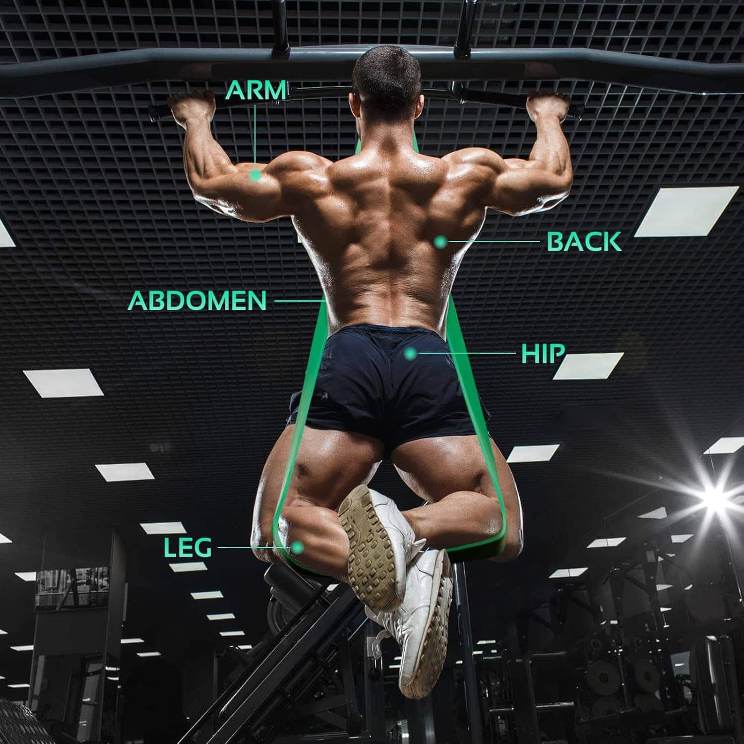 Muscular man in a gym with labeled body parts on a dark ceiling.
