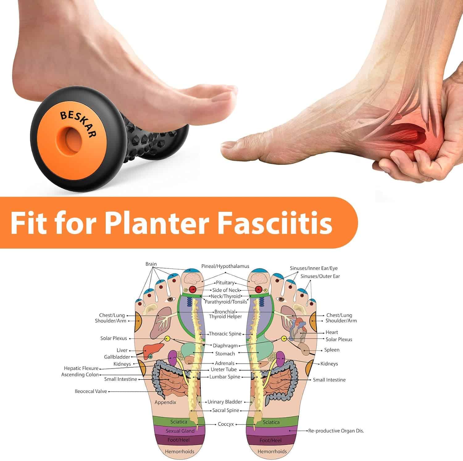 BESKAR Foot Massage Roller – Plantar Fasciitis Relief & Foot Pain Massager – Deep Tissue Trigger Point Tool – Portable & Ergonomic Design