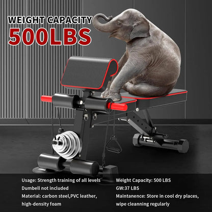 Adjustable Weight Bench – Foldable Incline/Decline Workout Bench, 500 lb Load Capacity
