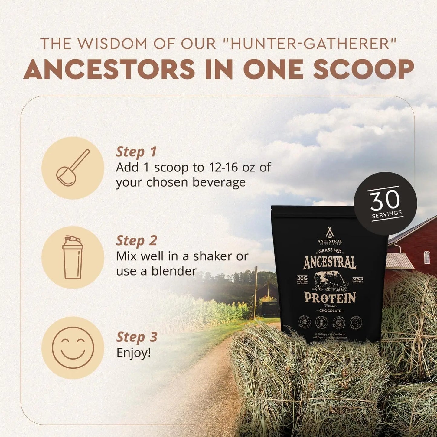 Ancestral Grass-Fed Bone Broth Protein Powder – Chocolate – 20g Protein with Beef Organs & Mushrooms – Gut & Immune Support
