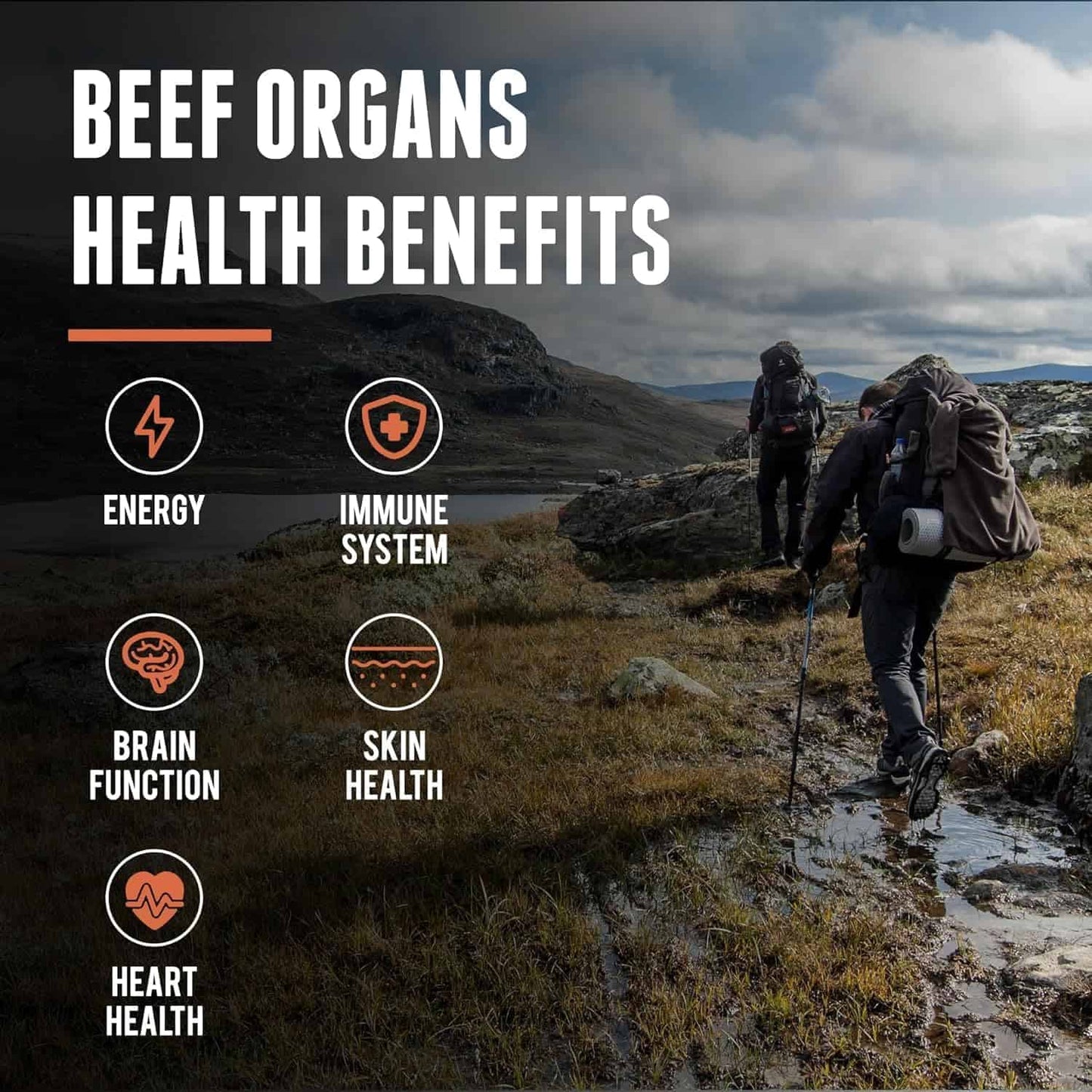 New Zealand Grass-Fed Beef Organ Complex – Liver, Heart, Kidney, Pancreas & Spleen (200 Capsules) One Earth Health