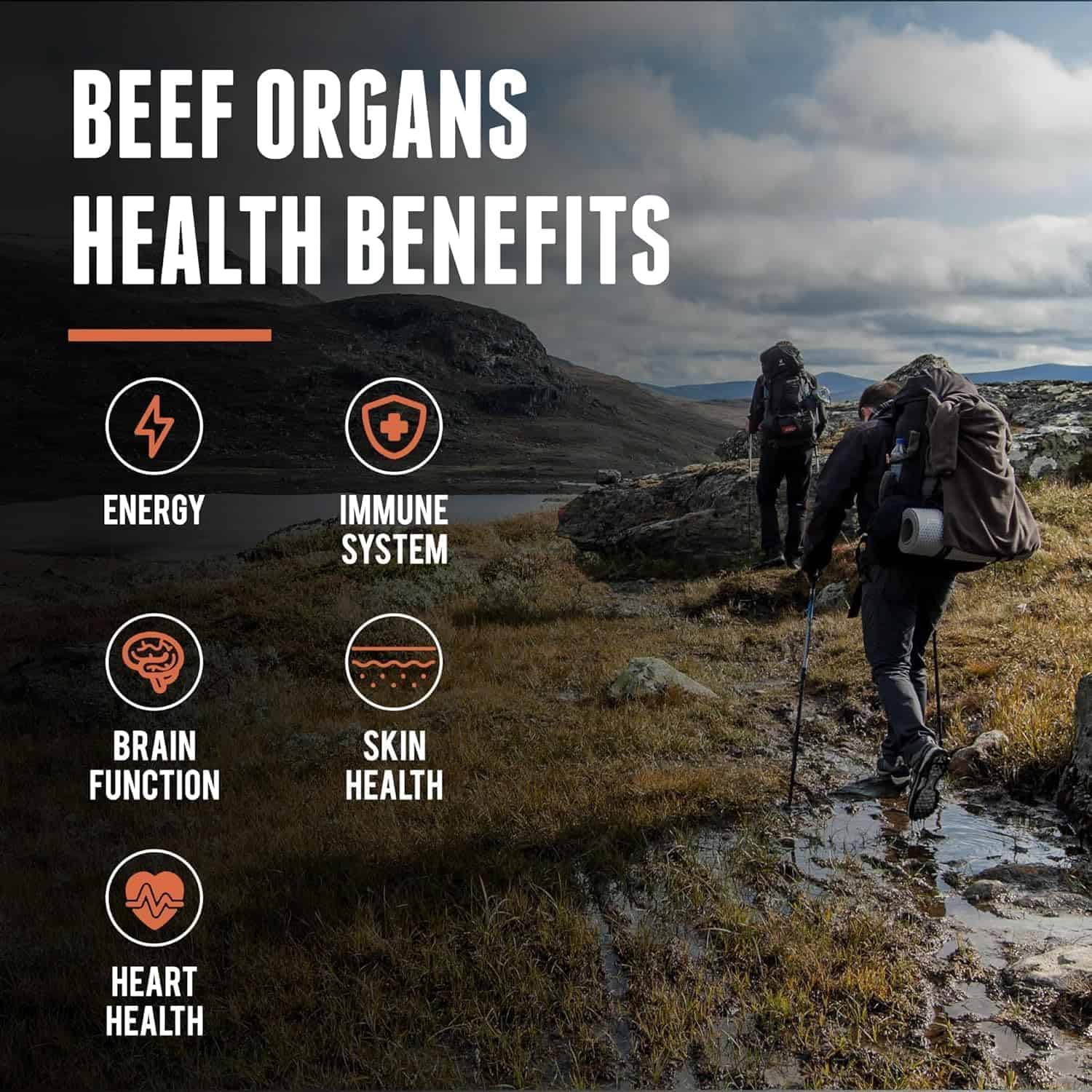 New Zealand Grass-Fed Beef Organ Complex – Liver, Heart, Kidney, Pancreas & Spleen (200 Capsules) One Earth Health