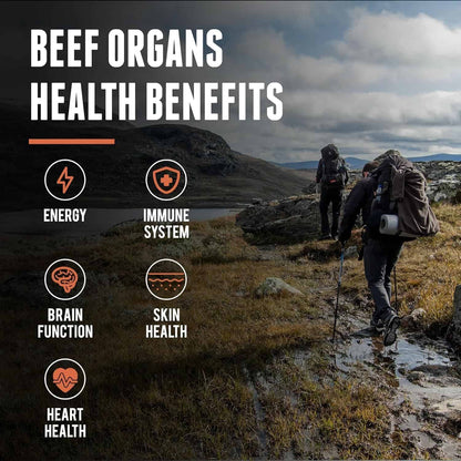 New Zealand Grass-Fed Beef Organ Complex – Liver, Heart, Kidney, Pancreas & Spleen (200 Capsules) One Earth Health
