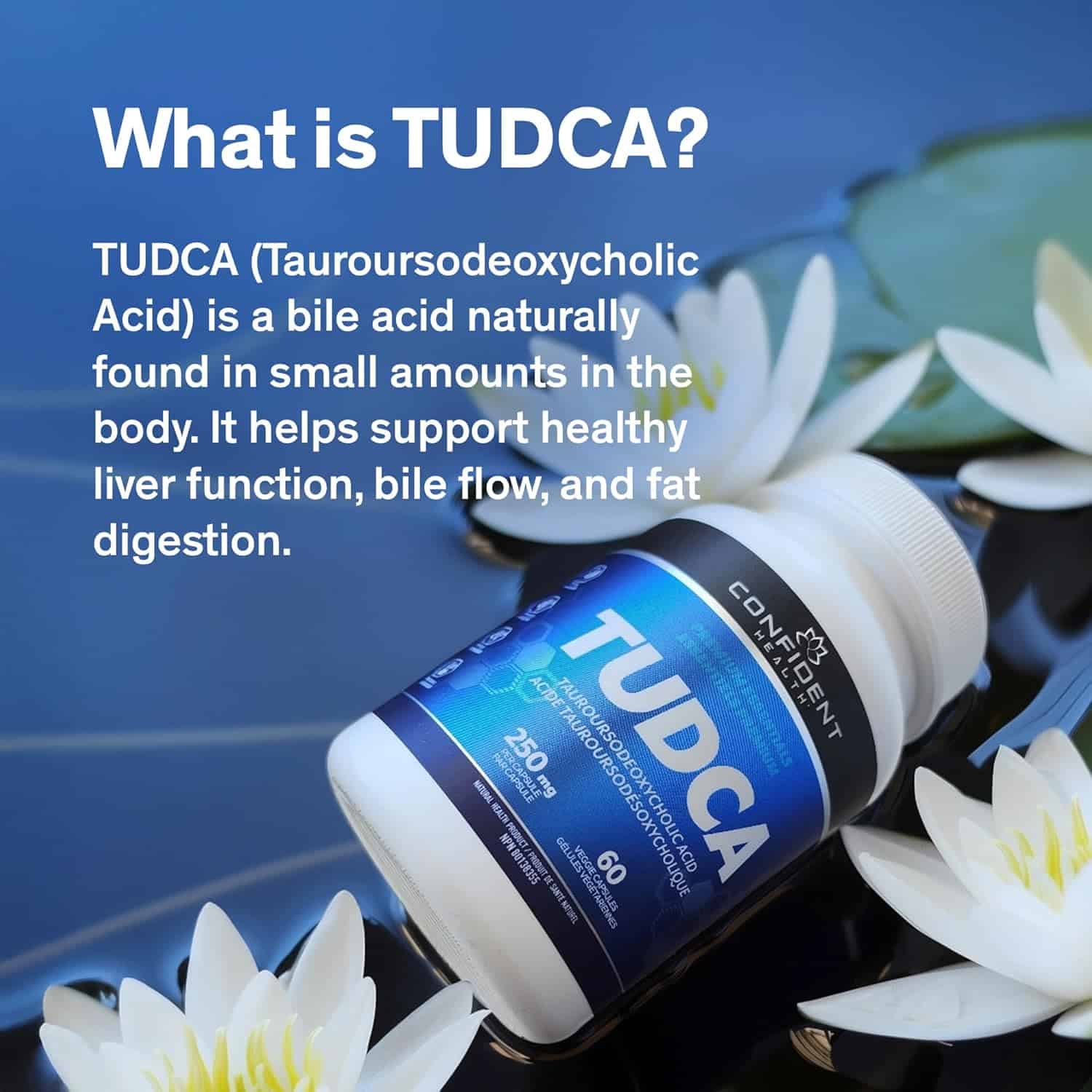 TUDCA Liver Support Supplement – 1000mg Advanced Detox & Gallbladder Cleanse (60 Capsules)