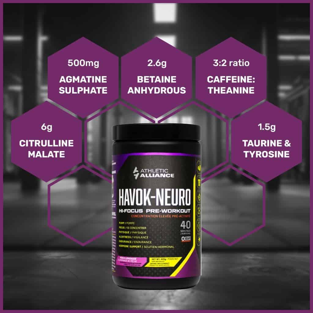 Athletic Alliance Havok Neuro Pre-Workout – Nootropic Powder for Focus, Endurance & Cognition – Sugar-Free (Peach Lemonade & Frost Berry, 40 Servings) Athletic Alliance