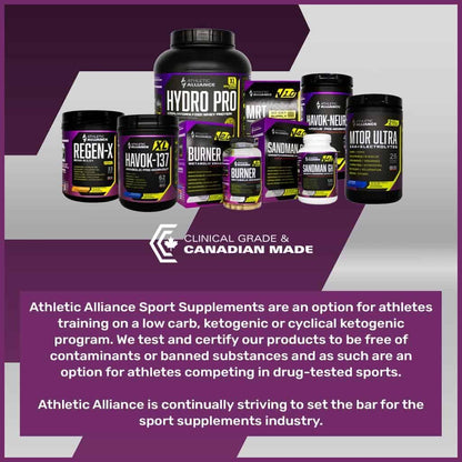 Athletic Alliance Havok Neuro Pre-Workout – Nootropic Powder for Focus, Endurance & Cognition – Sugar-Free (Peach Lemonade & Frost Berry, 40 Servings) Athletic Alliance