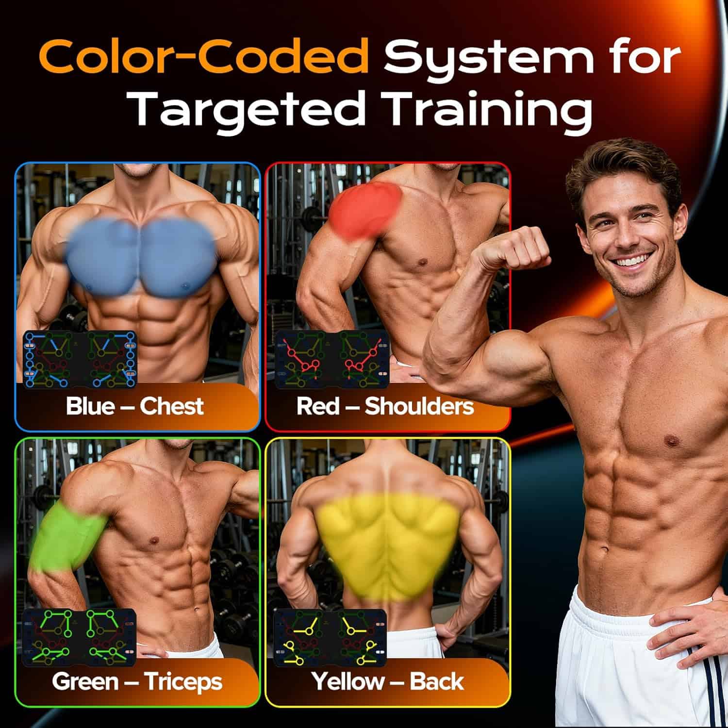 Man showing different muscle groups with color-coded labels for targeted training.