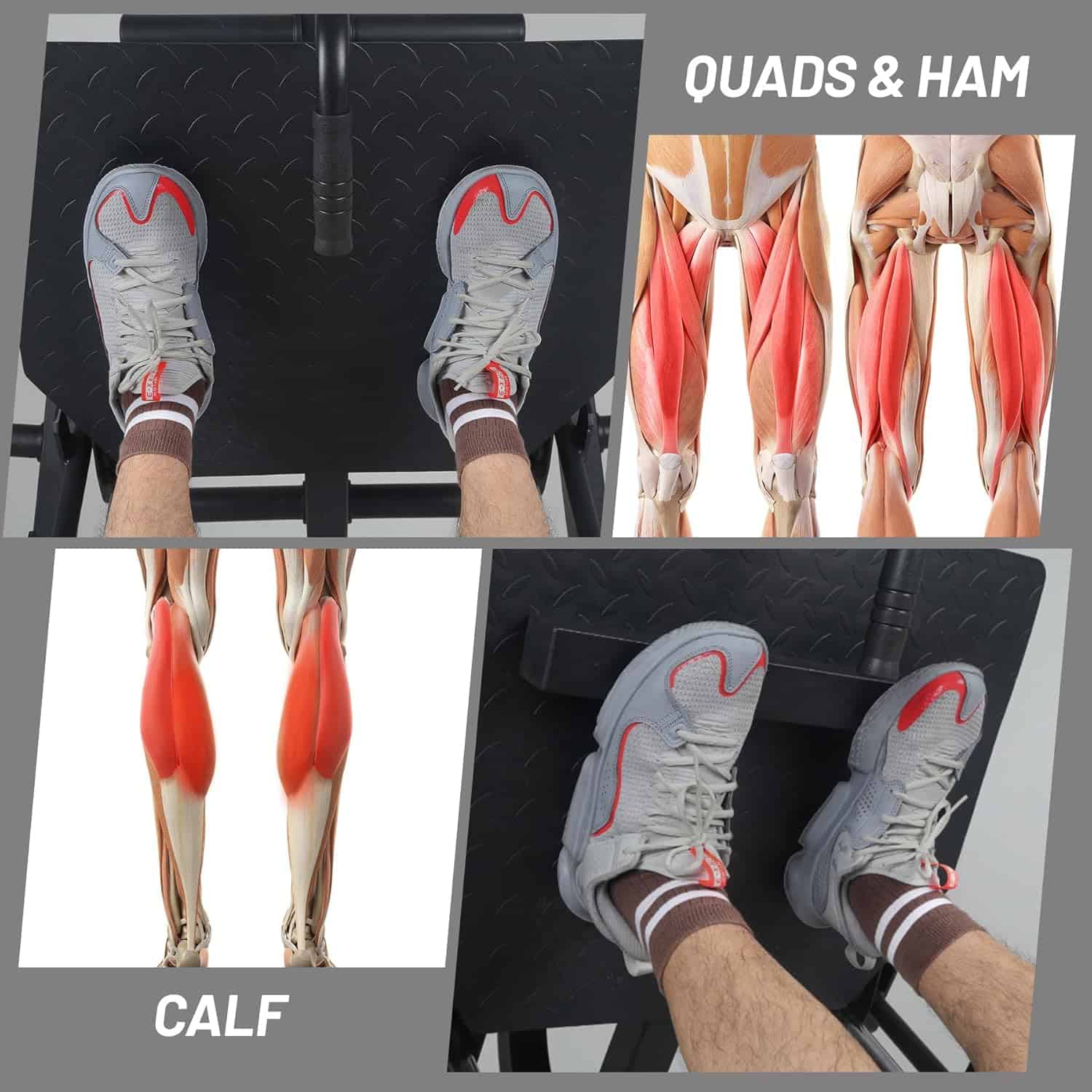 Person using a leg press machine with anatomical illustrations of quads, hamstrings, and calves.